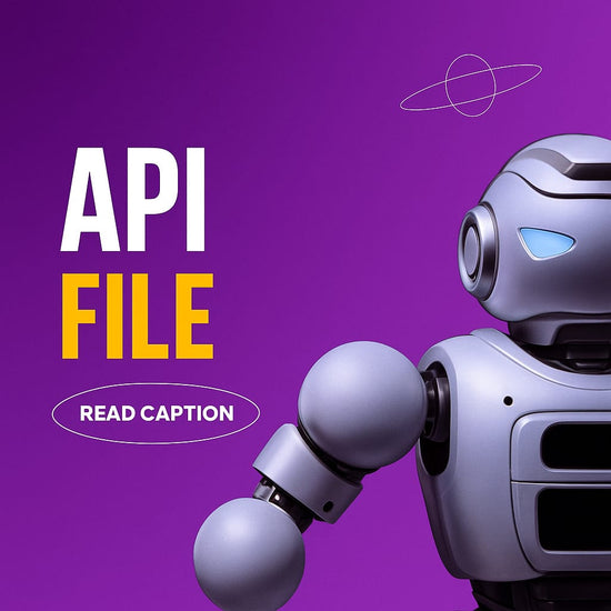 API FILE